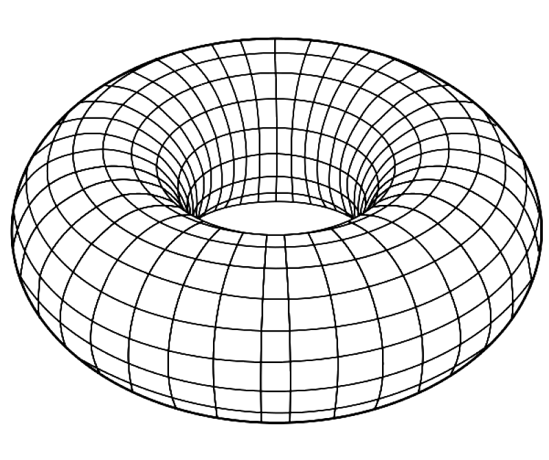 torshell_donut torshell_donut